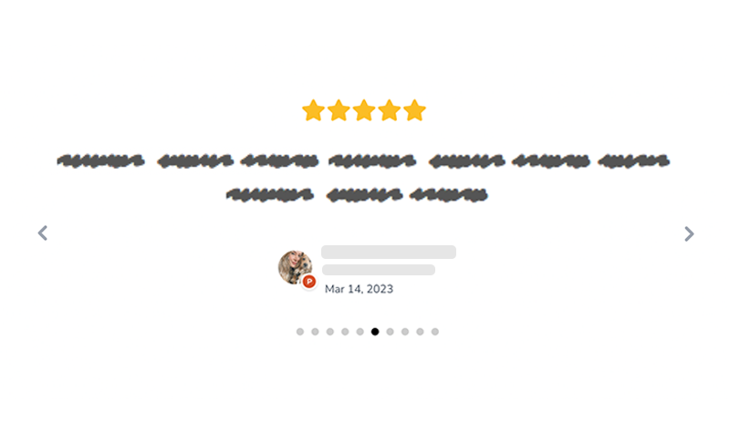 Carousel review widget illistration